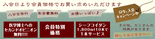 シーフコイダンプラス