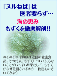 もずくを徹底解剖